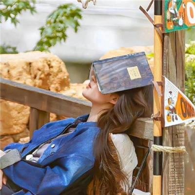 我们恋爱的履历