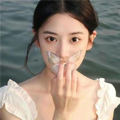 与森林共舞
